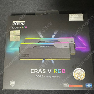 에센코어 klevv cras v 6000 cl30 rgb 48gb (24gb x 2) 서린 ddr5 팝니다