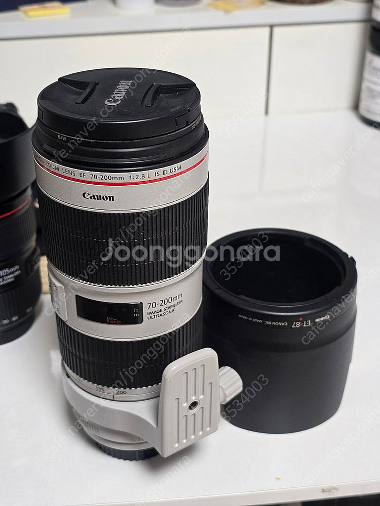 EF 70-200mm F2.8 렌즈 새새새아빠--0