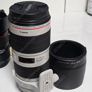 EF 70-200mm F2.8 렌즈 새새새아빠