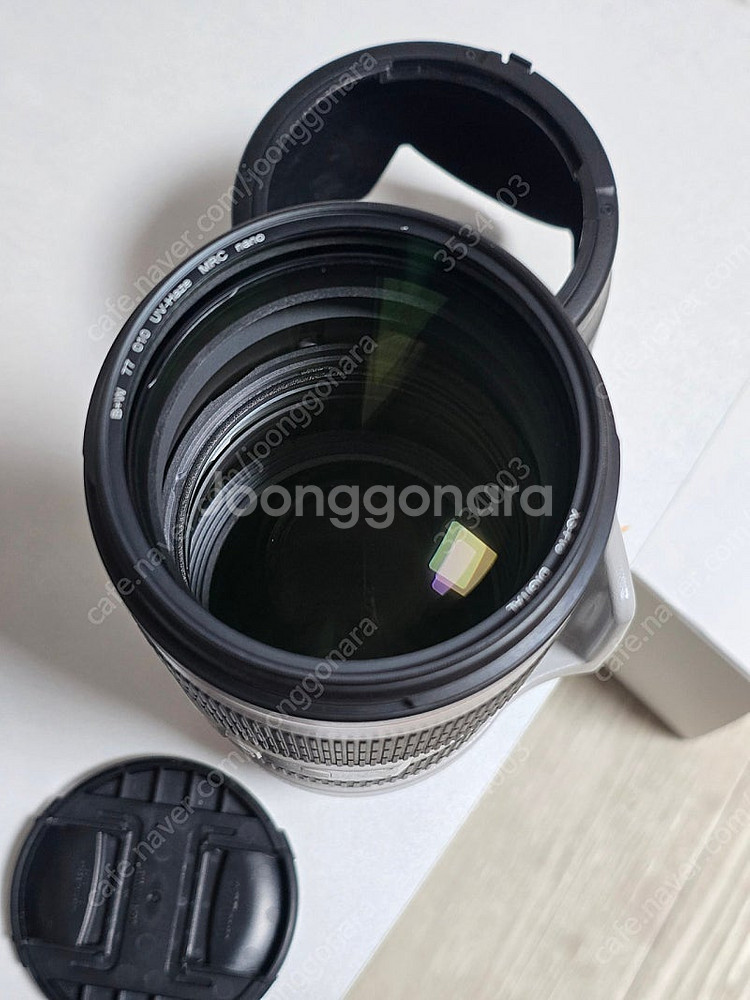 EF 70-200mm F2.8 렌즈 새새새아빠--1