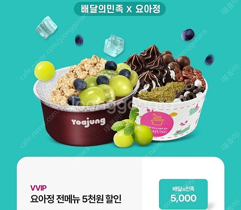 요아정 5,000원 할인쿠폰--0