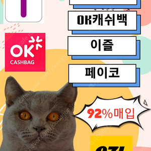 티머니 / 머니트리 / 이즐 / 롯데포인트 특가매입중