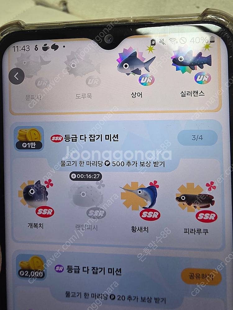 틱톡 랜턴피시1500원구매합니다--0