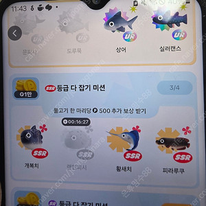틱톡 랜턴피시1500원구매합니다