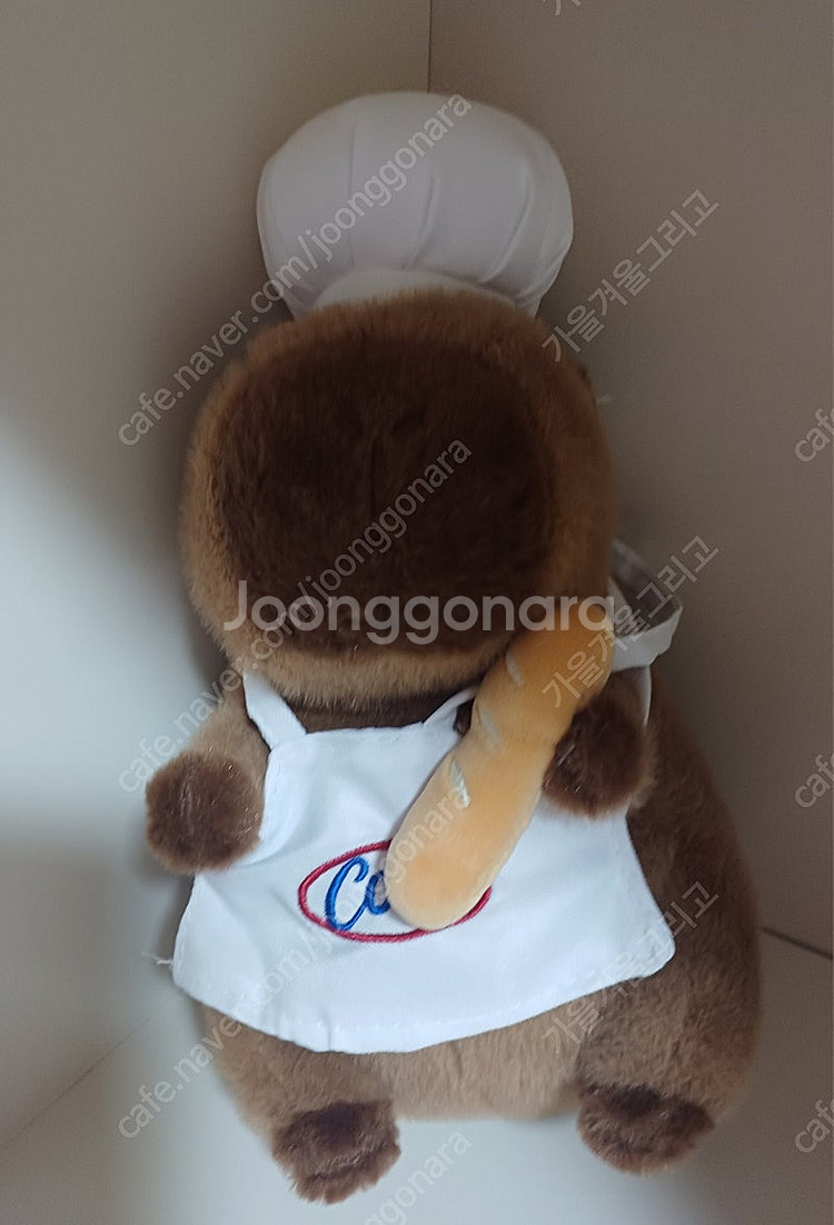 (새상품) 카피바라 쿼카 요리사 봉제 인형 25cm--0