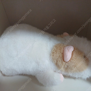 (새상품) 모루못토상 라잉 화이트 35cm
