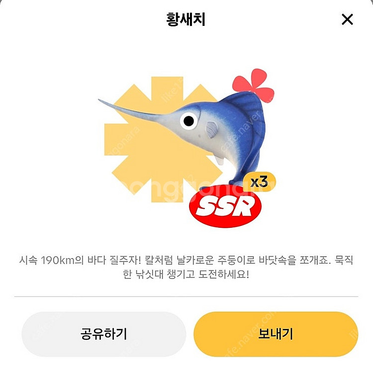 틱톡 황새치팝니다 2000원--0