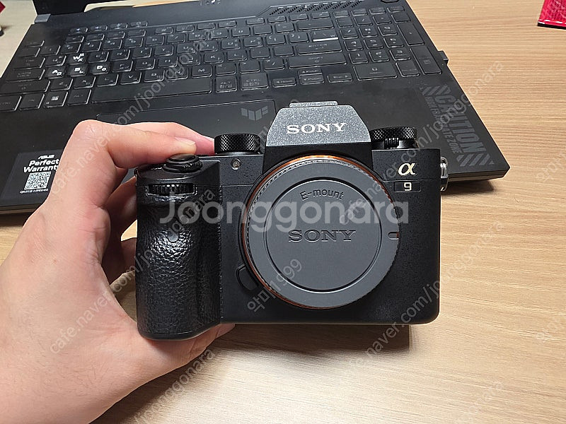 [판매] 박풀 Sony A9 (A9M1) 바디 + 세로...--5