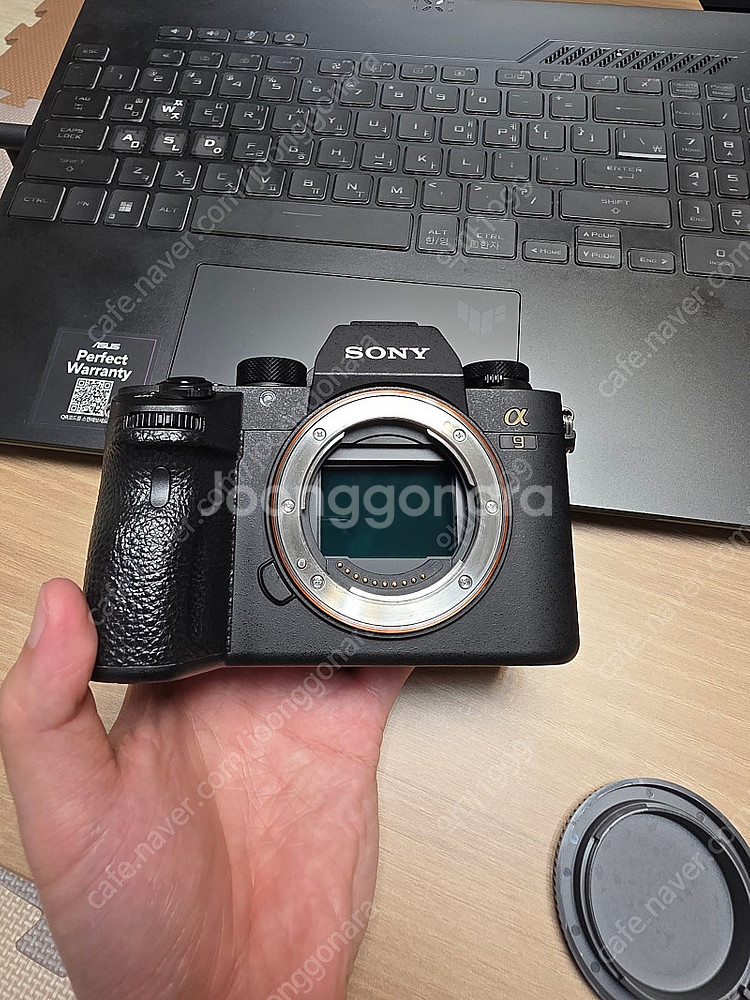 [판매] 박풀 Sony A9 (A9M1) 바디 + 세로...--7