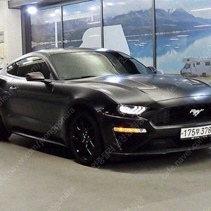 포드 머스탱 중고 머스탱 중고차 파란색 2020년식 79,079km 쿠페 중고차구매