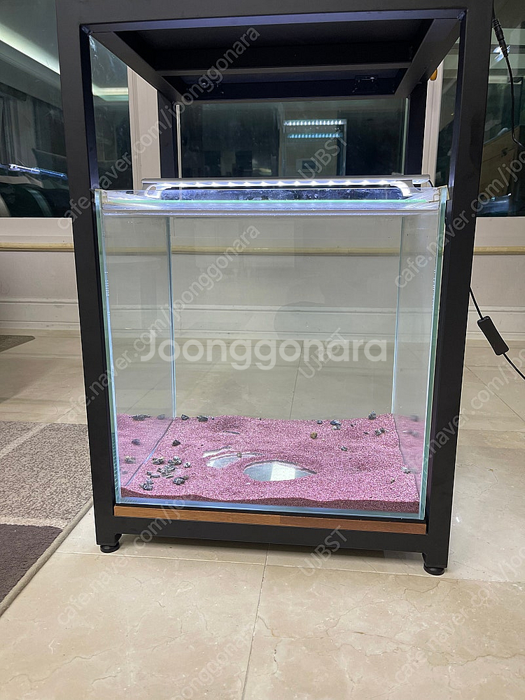 (경기 북부) 프리미엄 45큐브 올디아망 수조 6T 어...--2