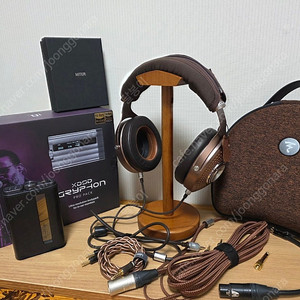 focal 포칼 스텔리아 + ifi 그리폰 프로 팩