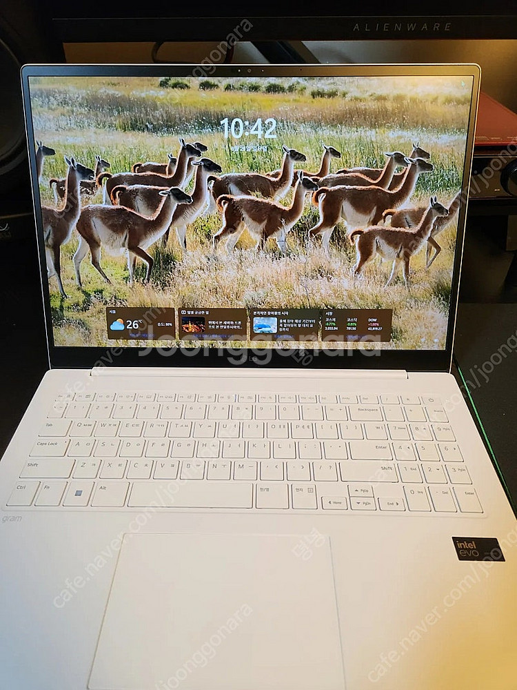가격인하)LG 그램프로2024 16Z90SP-GA5CK...--1