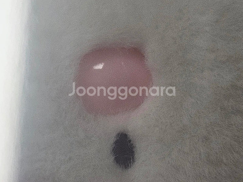 산리오 딸기 쇼트케이크 마이멜로디 누이 인형 세트 판매--8