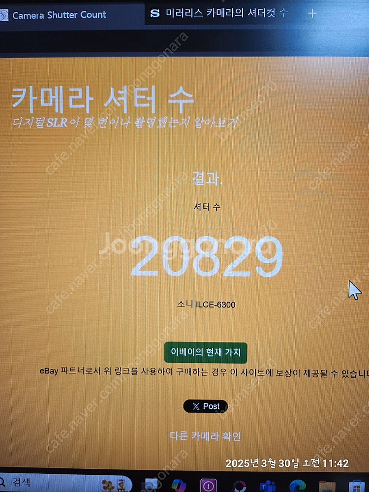 소니A6300 탐론18-300입니다--7
