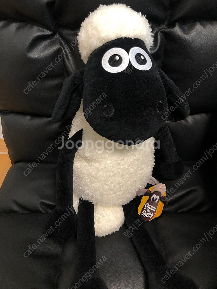 [인형뽑기] 중형인형 판매 개당 5500원!! 그로밋,...--7