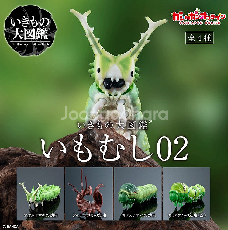 BANDAI(반다이), 생물대도감(애벌레: 호랑나비 유...--0