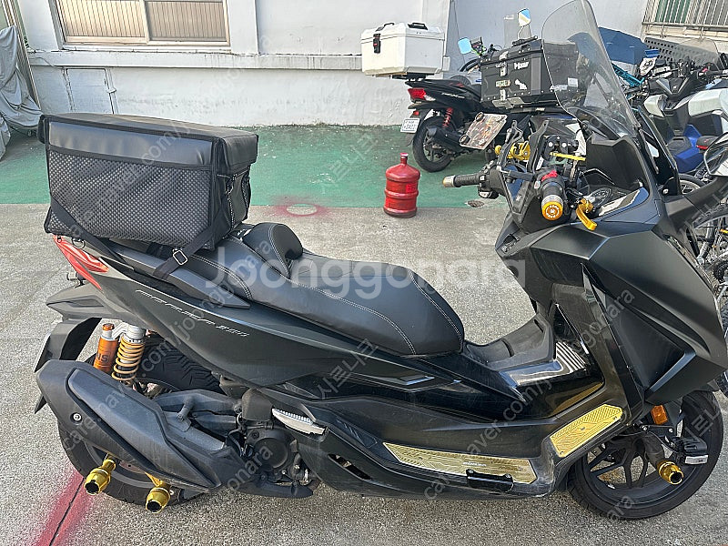 포르자350 24년식--3