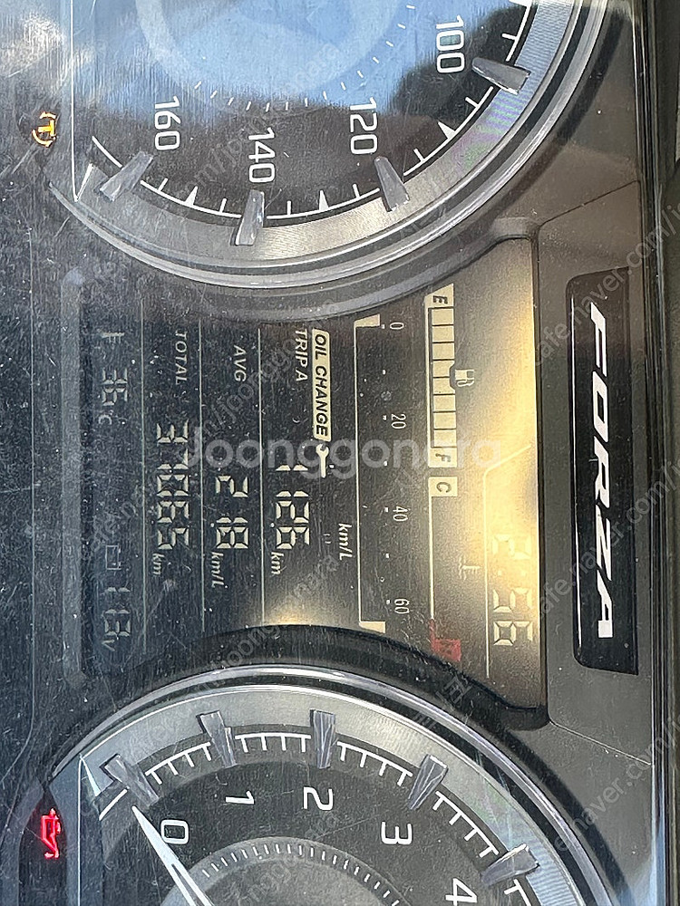 포르자350 24년식--5