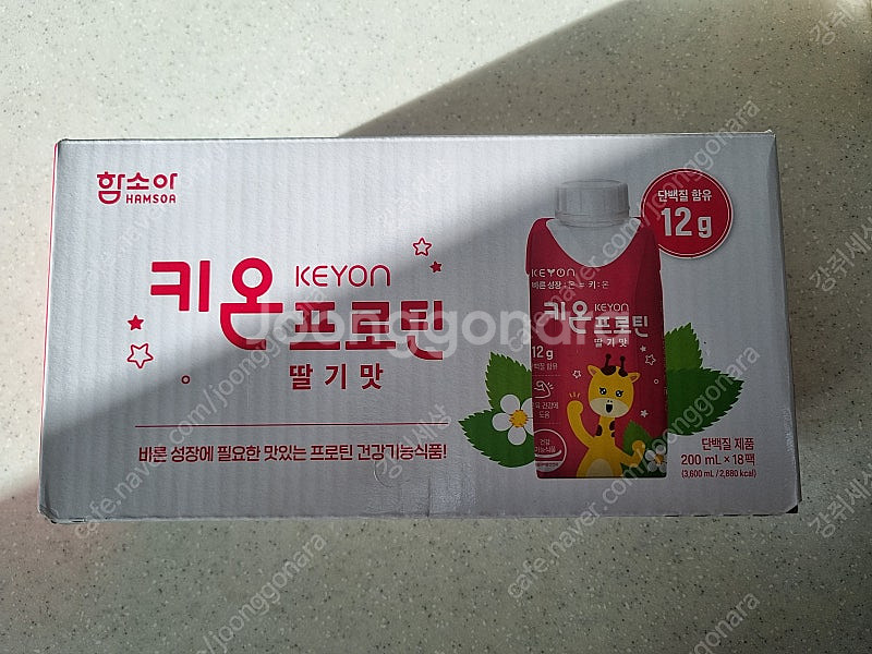 키온프로틴 딸기맛--0