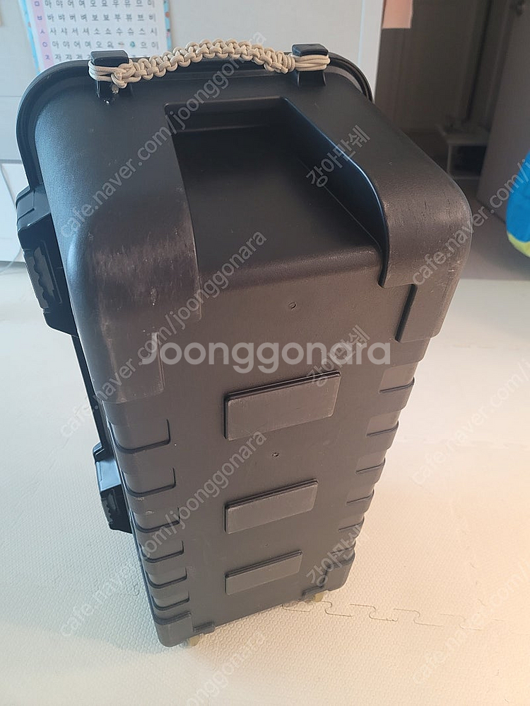 플라노스포츠트렁크 박스--1