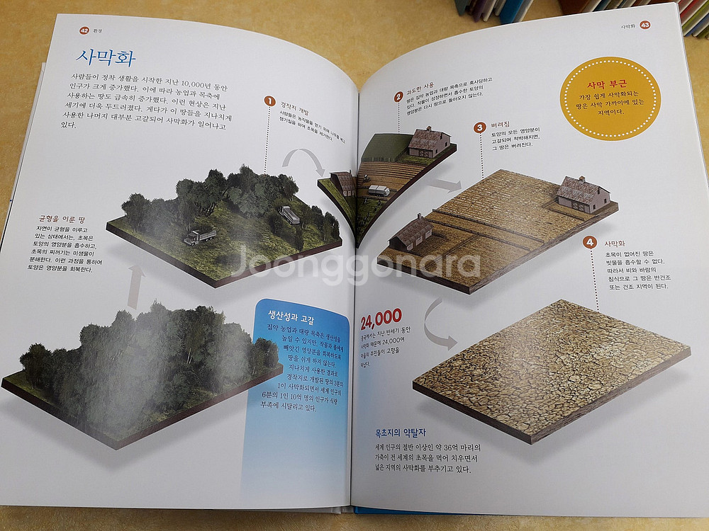 루크 어린이 첫 지식백과 박학다식 전 50권--4