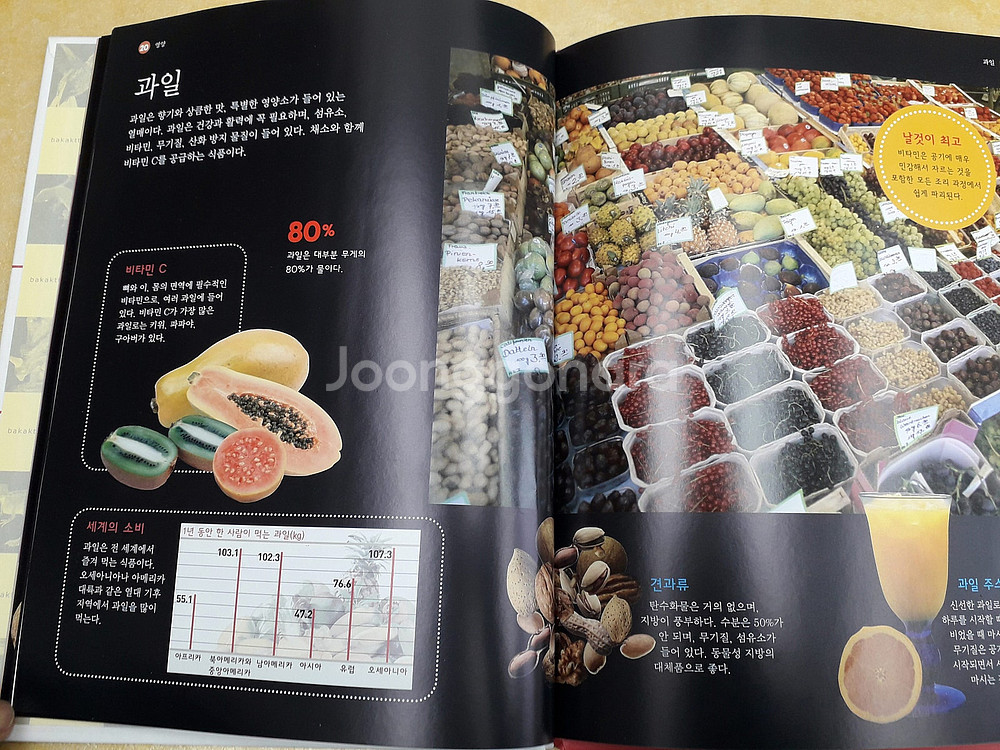 루크 어린이 첫 지식백과 박학다식 전 50권--5