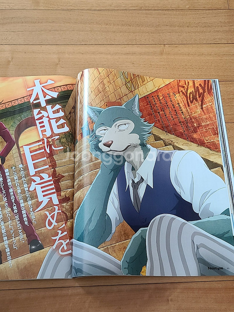 일본원서 뉴타입 Newtype 2021 2월호--9
