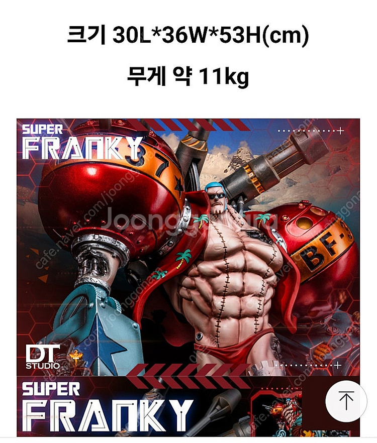 DT 프랭키 레진 피규어--3