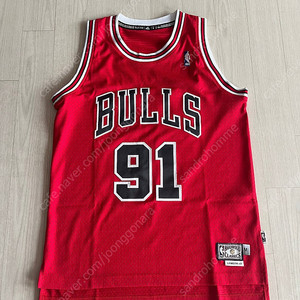 아디다스 스윙맨 nba 져지 농구 유니폼 m 100 105 hardwood 르브론 로드맨 23 시카고 불스 클리블랜드