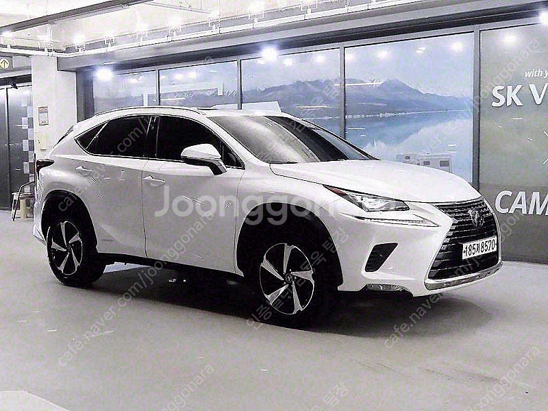 65,058 km 렉서스 중고차 렉서스 NX 300h ...--0