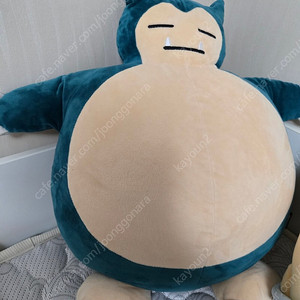 포켓몬스터 가오레 정품카드및 전용케이스가방