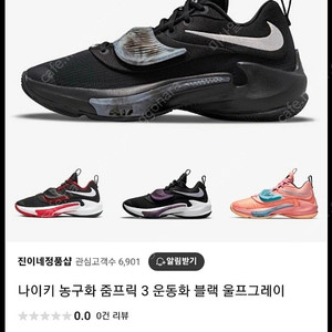 나이키 줌프릭3 250