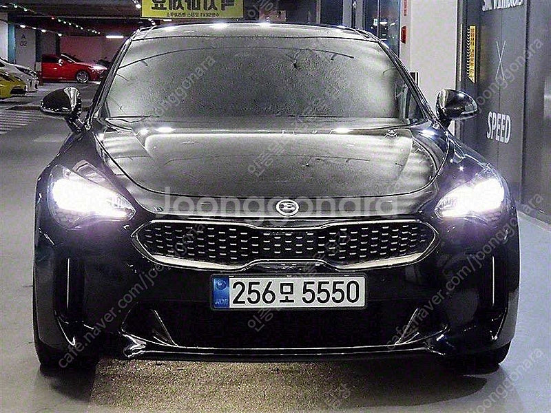 76,711 km 스팅어 중고 스팅어 마이스터 AWD ...--7