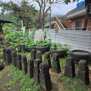 제주도 동자석 7쌍