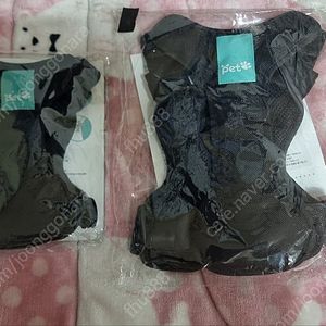 [땡처리 초특가] 애견카시트 강아지이동장 고양이이동장 강아지집 고양이집 안전벨트테더 하네스 목줄
