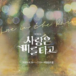 4일 뮤지컬 사랑은 비를 타고 vip석 특가