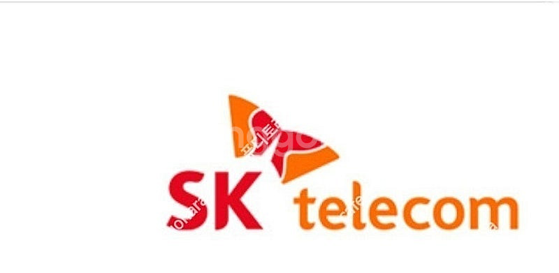 25년 6월 sk데이터 1기가1천원 총4기가--0