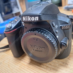니콘 d5300 바디