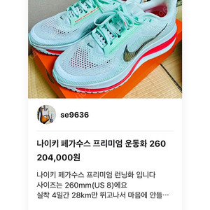 나이키 페가수스 프리미엄 운동화 260