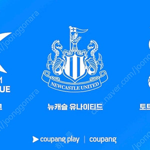 토트넘 vs 뉴캐슬 1등석A 3연석
