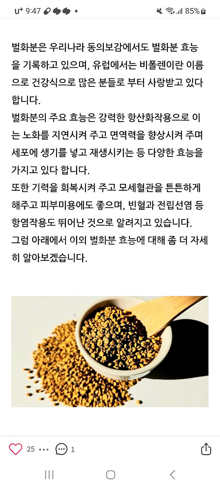 금산인삼 짜먹는 스틱 20포+벌화분 (꿀화분)--3