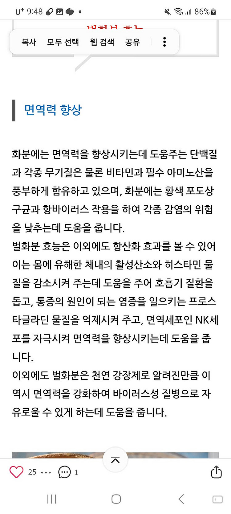 금산인삼 짜먹는 스틱 20포+벌화분 (꿀화분)--4