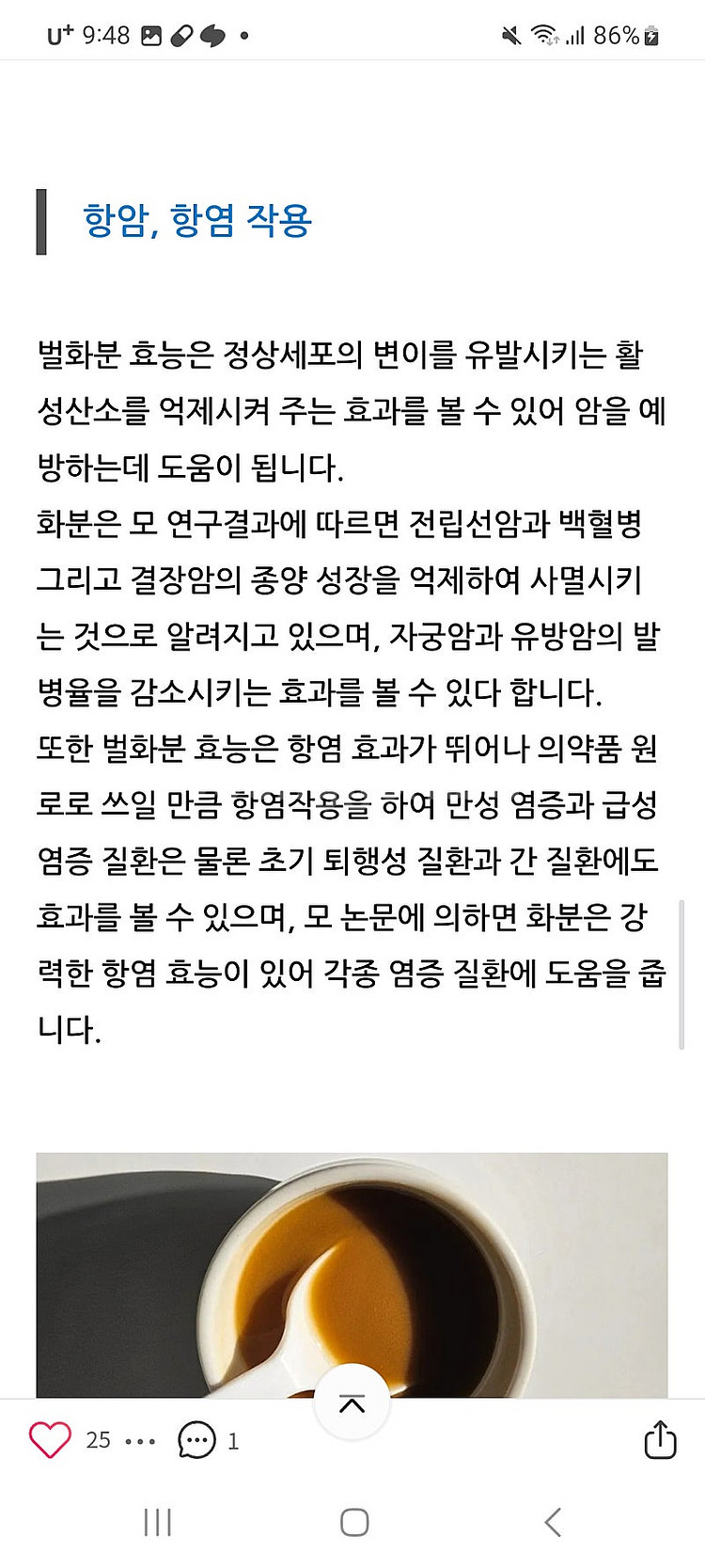 금산인삼 짜먹는 스틱 20포+벌화분 (꿀화분)--5