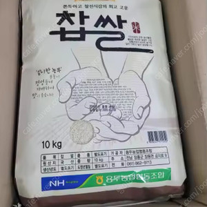 24년산 농협 찹쌀10kgx2포(총20kg)무료배송96900원 최근도정