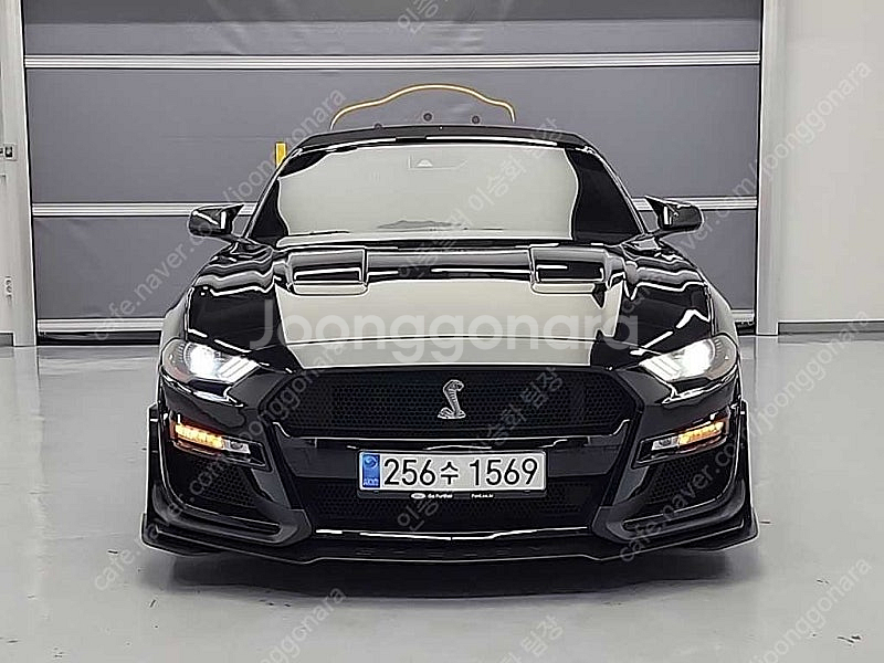 43,594 km 포드 머스탱 중고 포드 중고차 GT ...--7
