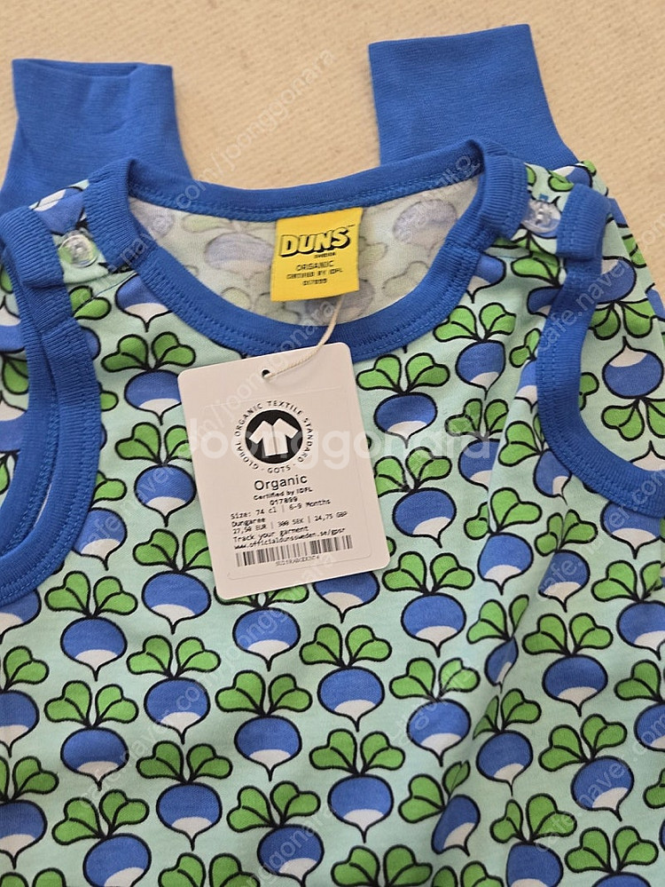 던스 파란순무 덩가리 74--0