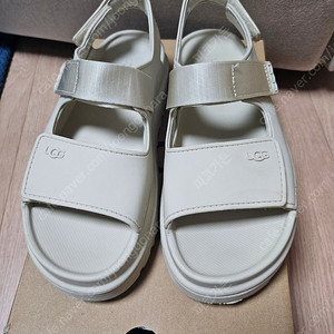 미국 UGG 골든글로우 씨솔트 빅키즈6 (245)