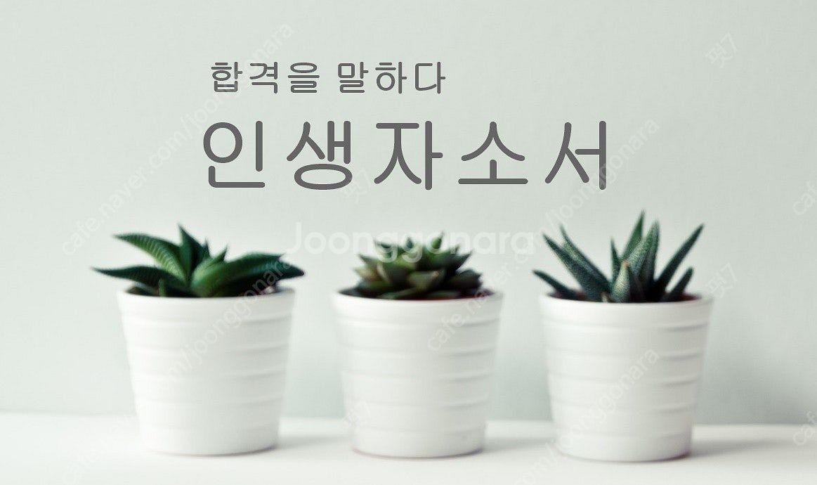 간호사 자소서 전문 대필 첨삭 서비스 소개해요. (자기...--1