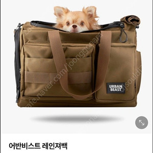 어반비스트 레인저백 강아지 이동가방